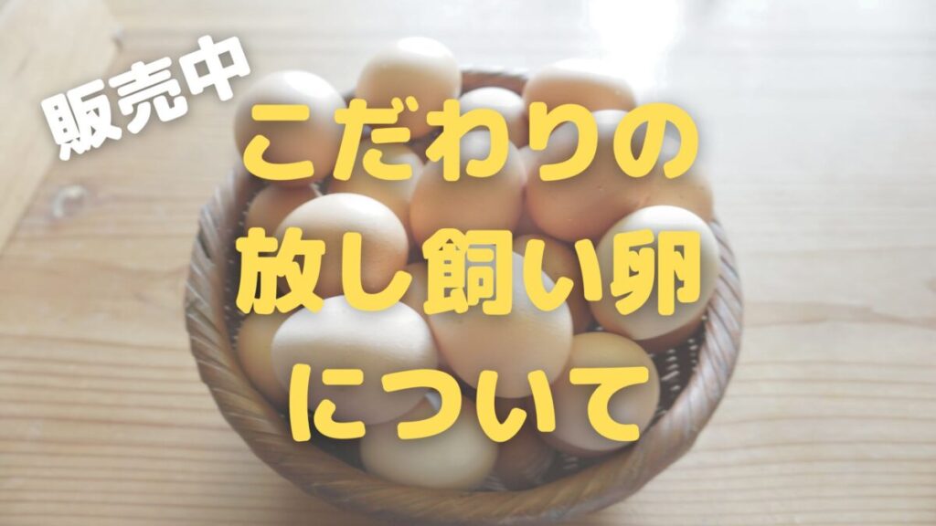 なぜ放し飼いの卵が優れているのでしょうか？